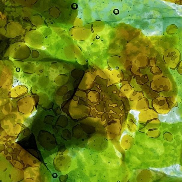 Close-up of the halo reaction in ChartReaction